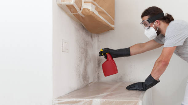 Professional Hvac And Air Duct Mold Remediation technician working in Sayville, NY